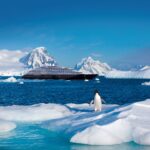 Kaiserpinguinen Luxuriöse Kreuzfahrt Scenic Eclipse Antarktis, Luxus