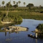 Lunch Insel Lagune Kanu Gäste Ausflug Luxus Ferien Botswana