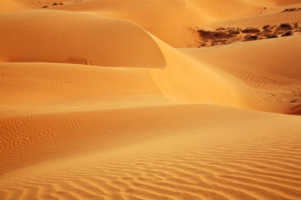 Vietnam Mui Ne Sand Dunes Ferien Natur