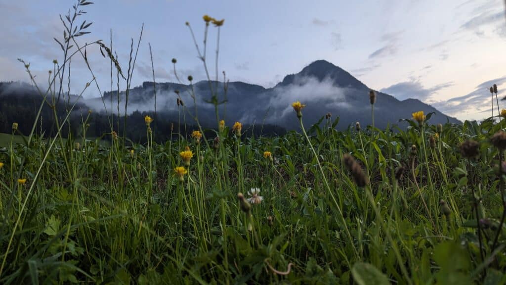 Von der Grossstadthektik ins Bergparadies: Ein Kurztrip per Zug ins Alpbachtal