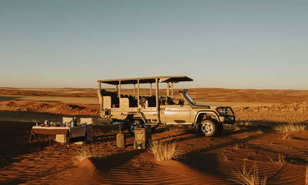 Safari Jeep Wildnis Tisch Essen Natur