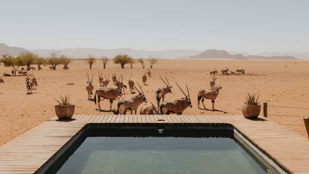 Kwessi Dunes, Namibia