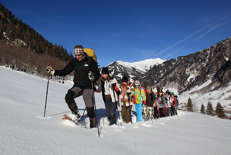 Chalet-Träume: Elegante Rückzugsorte in der Natur