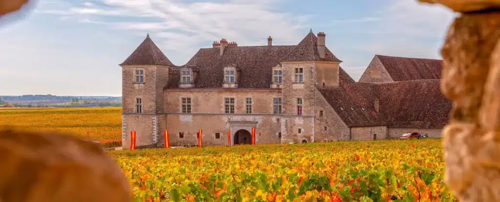 Das Burgund, Schweiz