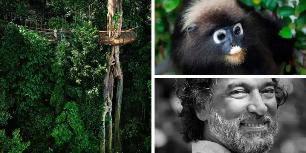 Entdecken Sie das Paradies: The Datai Langkawi