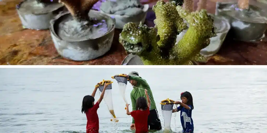 Jonathan, ein Meeresbiologe mit kleinen Nachwuchswissenschaftlern ©The Datai Langkawi