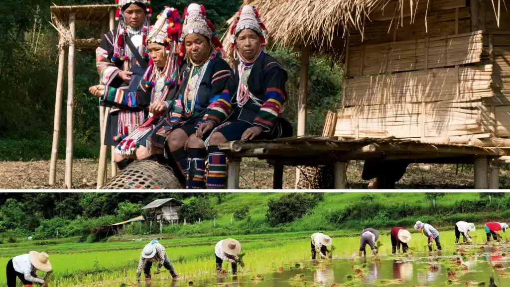 Von lebendigen Metropolen bis zu ruhigen Rückzugsorten
