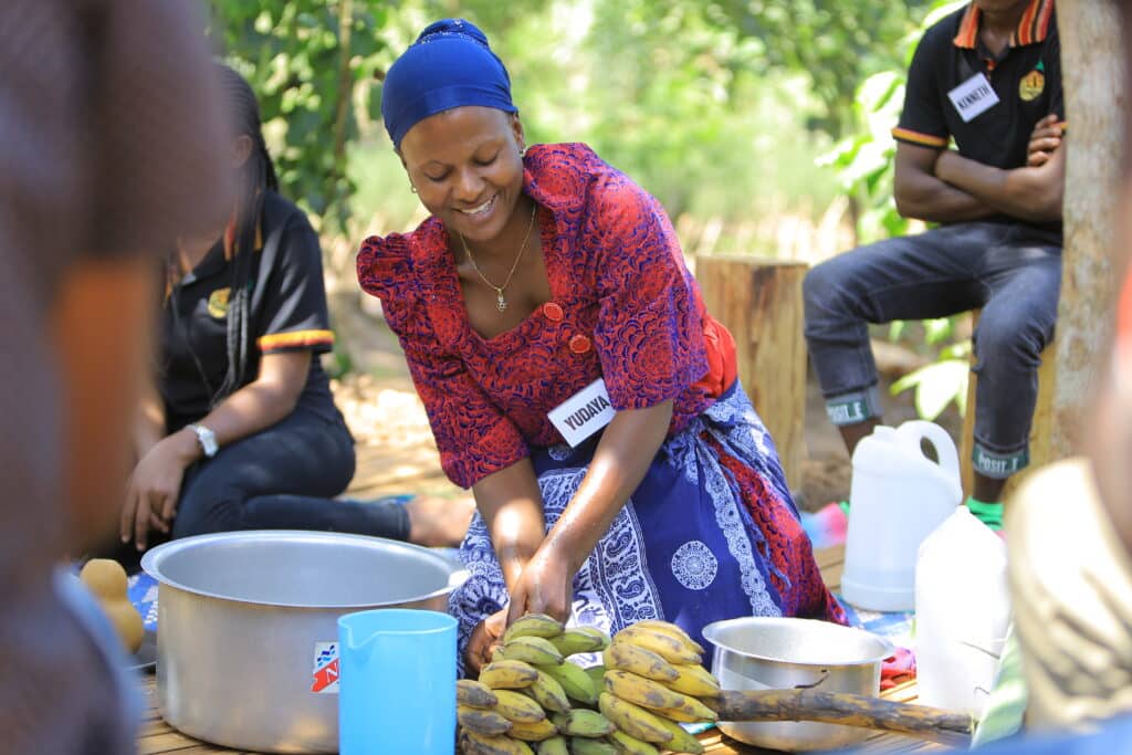 Weihnachten und Neujahr 2024/2025: Traumhafte Reiseziele für unvergessliche Feiertage