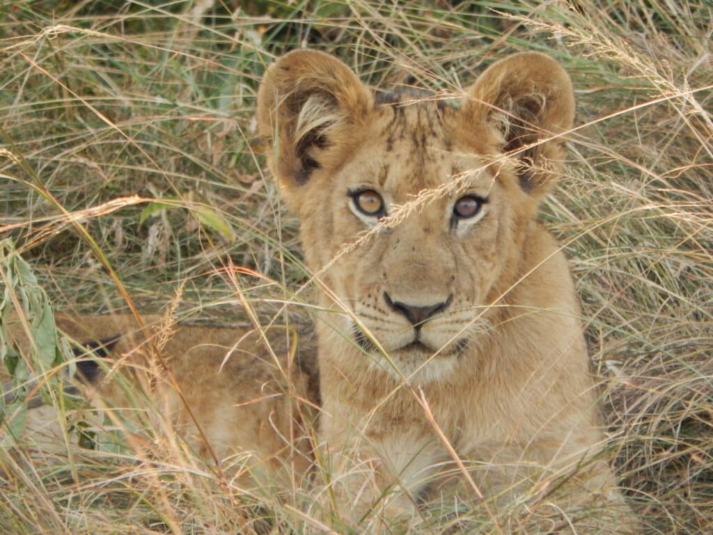 Weihnachten und Neujahr 2024/2025: Traumhafte Reiseziele für unvergessliche Feiertage