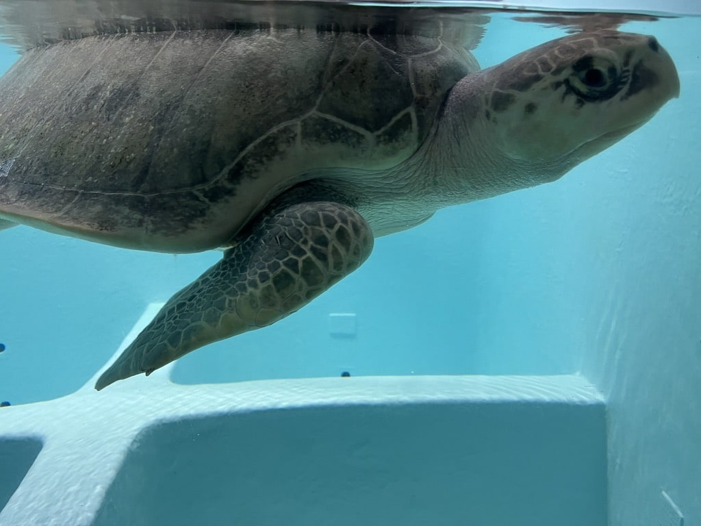 Four Seasons Malediven