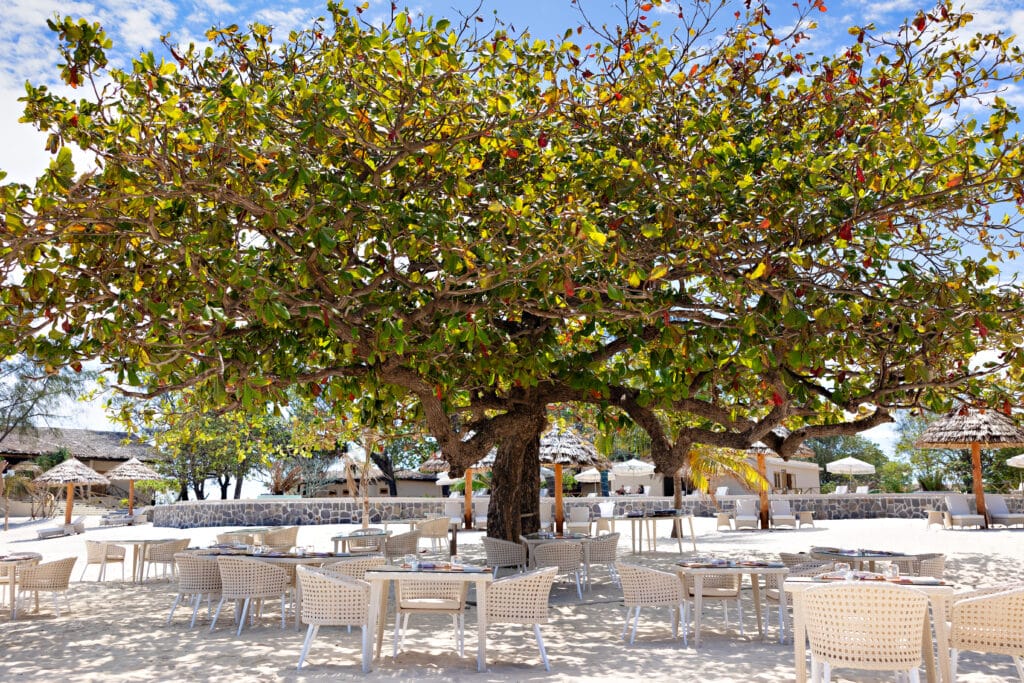 Ein Essenserlebnis unter einem Baobab. Sansibar