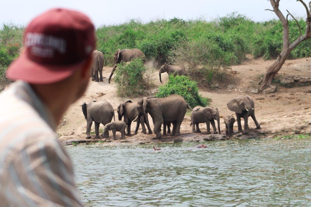 Uganda: Auf den Spuren von Schimpansen, Berggorillas und Baumlöwen