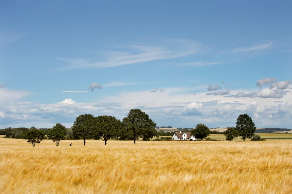 Inselurlaub Schweden: 267.570 Inseln – und eine gehört für ein Jahr dir