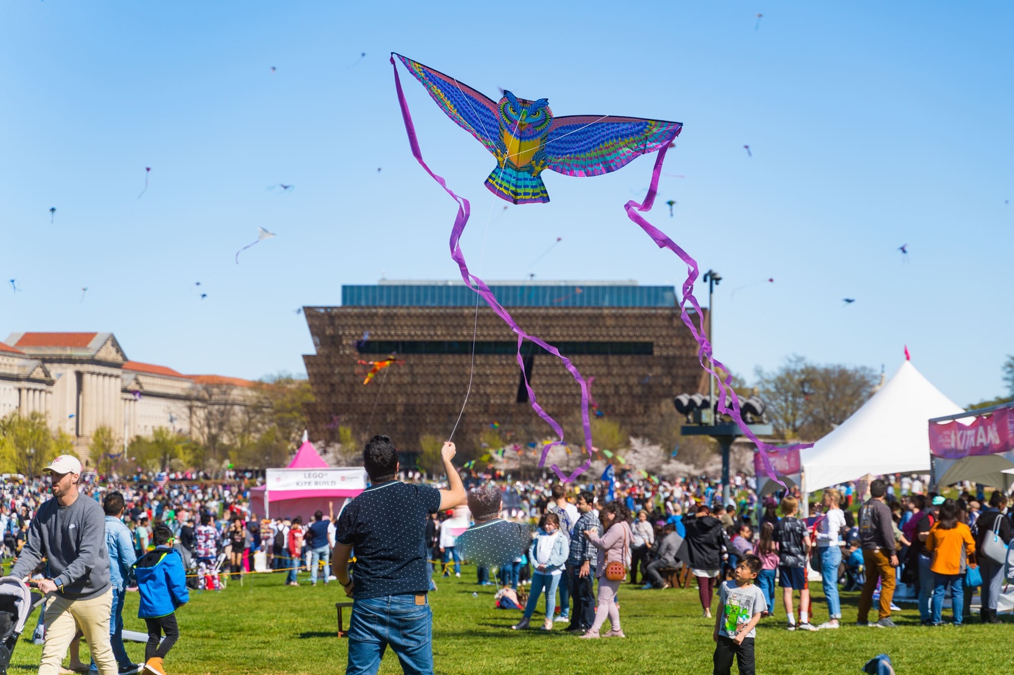 Ein farbenfroher Eulen-Drachen tanzt beim Blossom Kite Festival in Washington, DC, unter strahlend blauem Fruehlingshimmel und begeistert die vielen Zuschauer.