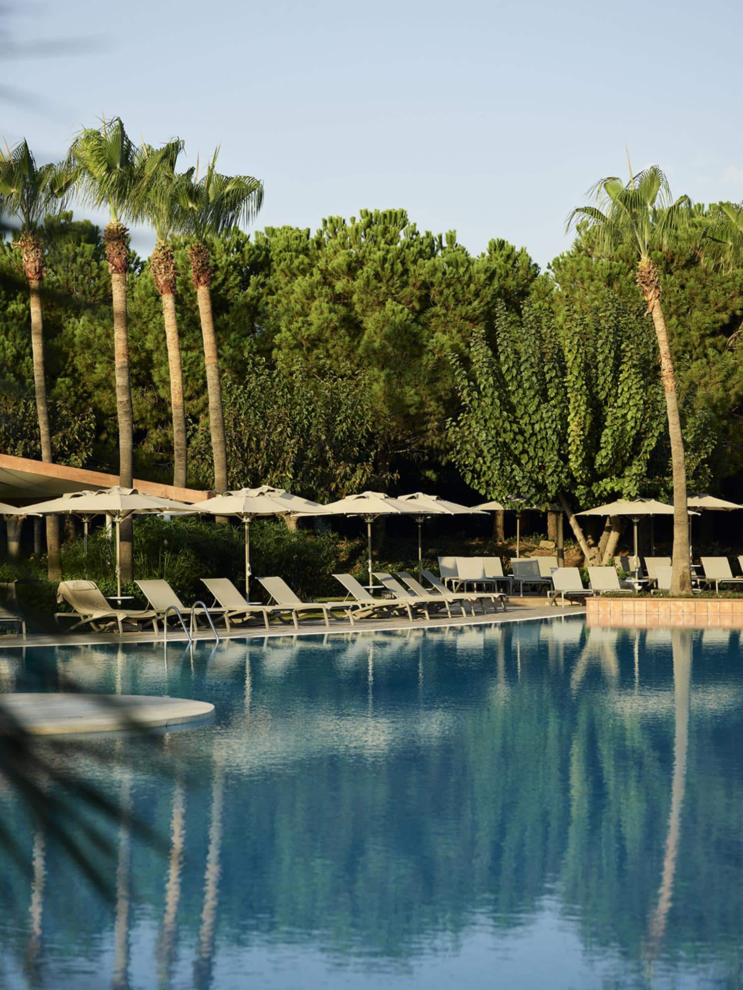 Die ruhige Poollandschaft der Barut Hotels, umrahmt von Palmen und ueppigem Gruen, bietet eine idyllische Kulisse fuer die Barut Longevity Experiences an der tuerkischen Riviera.