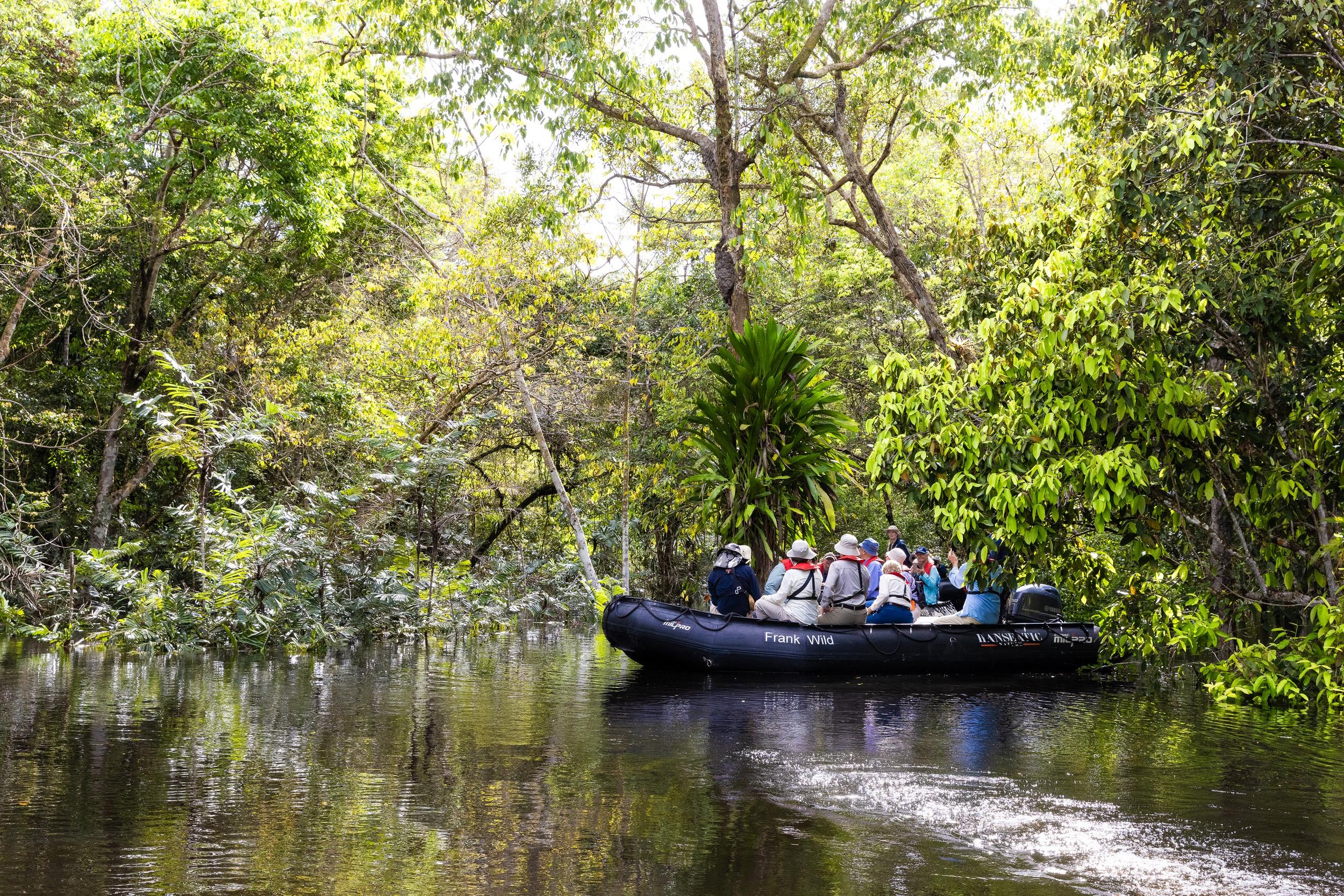 Expeditionsgaste von Hapag-Lloyd Cruises gleiten an Bord der 'Frank Wild' tief in den Amazonas-Regenwald, um dessen faszinierende Natur zu entdecken.